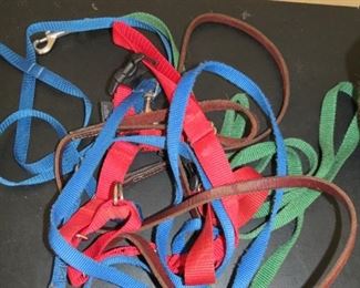 LEASHES.