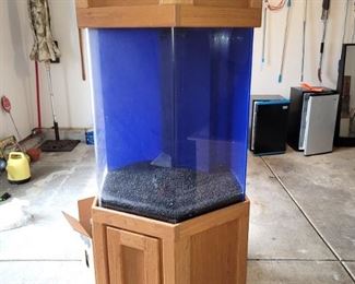 Fish tank with pump, filter and accessories
