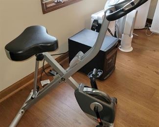 Exerpeutic Foldable Magnetic Upright Exercise Bike with Heart Pulse Sensors and LCD Monitor