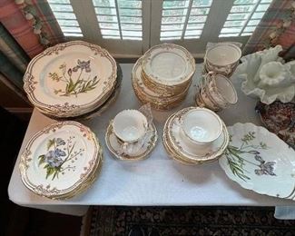 Spode Iris and Sphaerolobium China