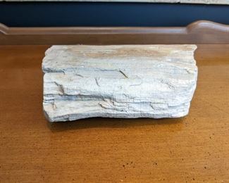 Petrified Wood