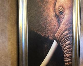 6’6” Elephant Art
Signed  Rafa