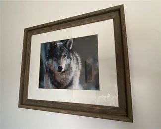 Framed Photography Nature Wolf