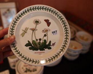 Port Meirion The Botanic Garden 1972