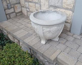 Large Cement Planter #6