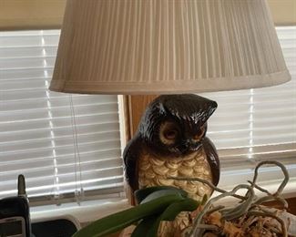 . . . love this owl lamp -- this would be a wise purchase for any shopper!