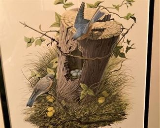 Eastern bluebirds by Richard Sloan