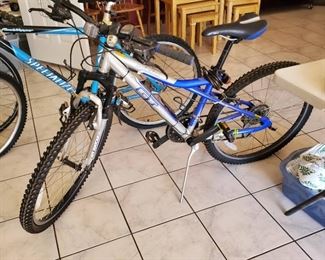 Aggressor GT 606 Shimano 7 Speed (Needs New Tubes)
