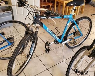 rockhopper manitou specialized 19 bike (Needs New Tubes)