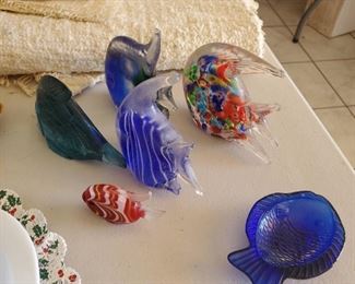 Glass Fish