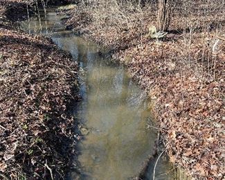Skokie Creek