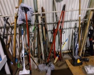 Assorted lawn Hand Tools