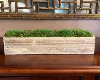 Wood planter with moss.