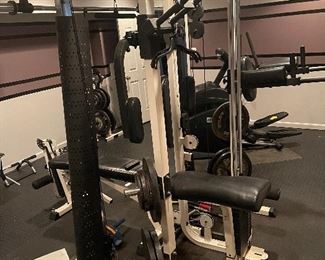 Prospot fitness p500
$2000

Weights are included with this item