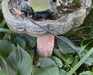 Bird Bath