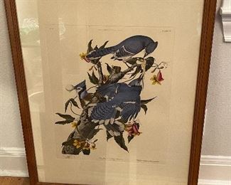 1950’s Centennial Edition of Audubon Prints by The History Institute of America “Blue Jay” Y-4