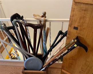 collection of walking sticks or canes
