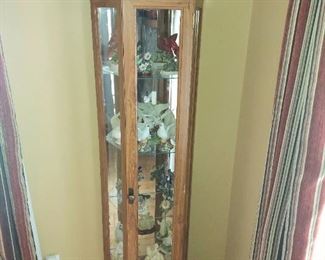 Neo-Angle Curio Cabinet