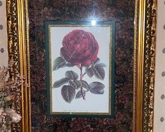 Rose Print Framed