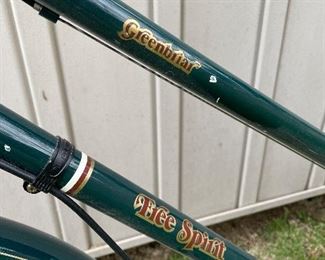 Free Spirit Greenbriar bike.
