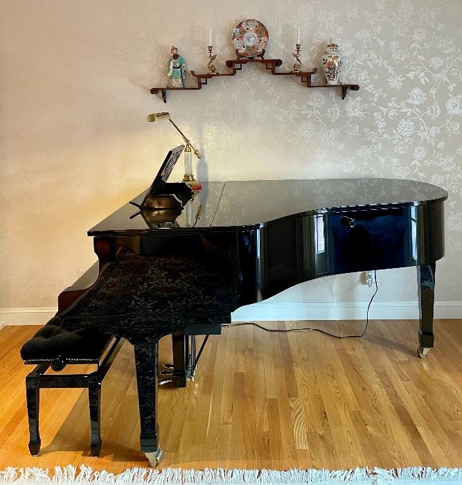 Item 1:  Petrof lll HPE #589170 c. 2003: --$15,500. 6'4" Grand Piano with Pianodisc CX228 Player System Including Sympohone and Record Features. Highly polished ebony case with polished brass hardware. One owner. Powerful and Amazing Sound - action plays like new. Recently tuned and it is at concert pitch. Play yourself or have the piano play by for you!