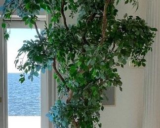 21_____ $90 
Ficus faux plant 11T
