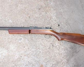 Firearms, Guns, Rifle, Shotgun