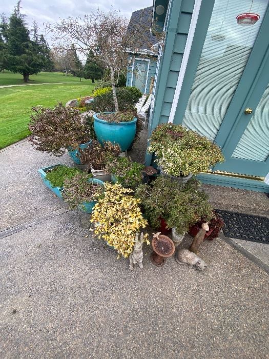 McNary Estates Sale in Keizer, OR starts on 4/1/2022