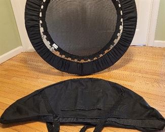 Needak Rebounder w/carrying case.