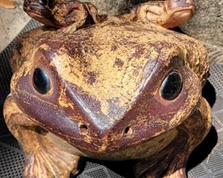 Shiragaki Kaeru approx. 11 inches tall