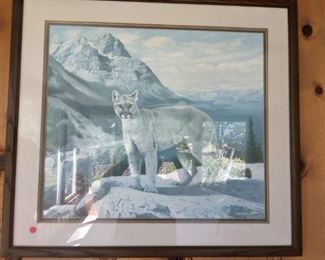 Framed Cougar Picture