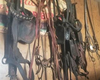 Leather goods and saddle gear