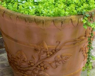 terracotta planter