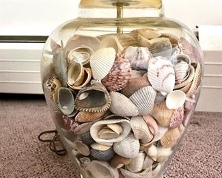 another view of sea shells