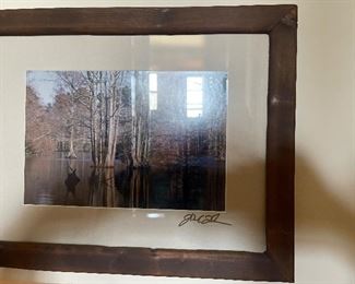 Signed photo of Great Dismal Swamp