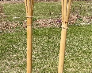 Item 142:  Set of 4 Tiki Torches:  $28