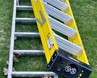 Item 441:  Extendable Ladder (silver):  $125                                                                    Item 442:  Husky Ladder (yellow):  $52