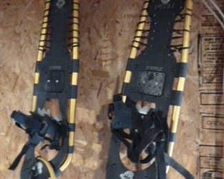 Snow Shoes