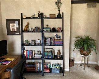 Bookshelves filled with vintage books and collectibles