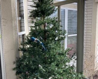 Lighted Christmas tree