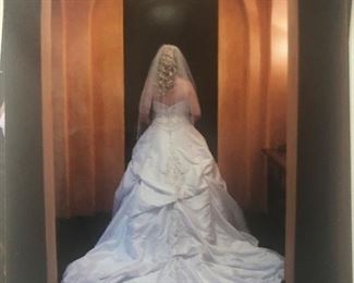 Beautiful Wedding Gown with Under slips Size 12/14