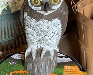 Lawn Owl, Yard Owl