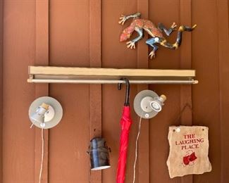 Exciting lighting and lizzards