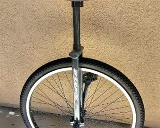 Unicycle