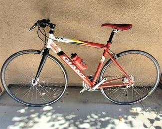 OCR Giant mountian bike