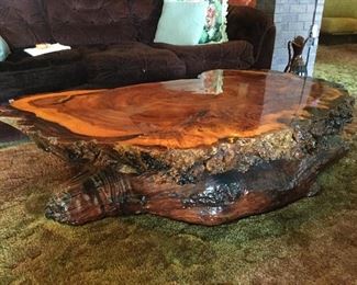 Live Edge Wood Table w/Lacquer Finish                                  Approx 55 x 30....MAGNIFICENT PIECE