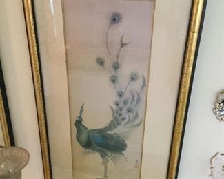 Peacock Framed Art