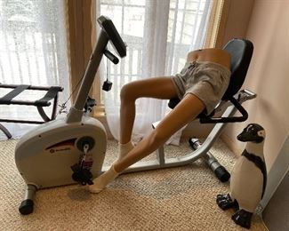 HALF OF A MANNEQUIN WITH SHORTS! 18" Penguin Statue, Schwinn Recumbent Exercise Bike 