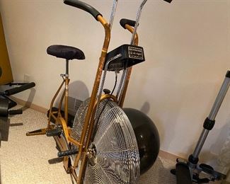 Vintage gold SCHWINN AirDyne Stationary Bike With ERGOMETER