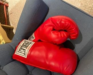 Pair of Everlast Boxing Gloves